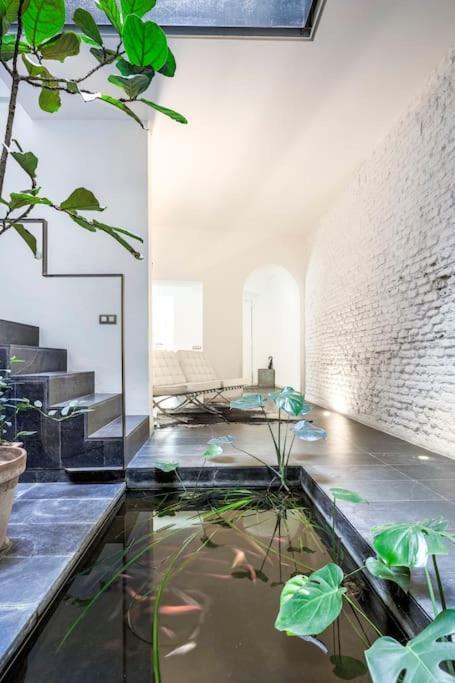 Elegante Duplex Centro Sevilla Matahacas 1 Ngoại thất bức ảnh