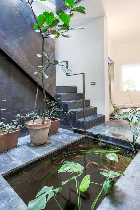 Elegante Duplex Centro Sevilla Matahacas 1 Ngoại thất bức ảnh